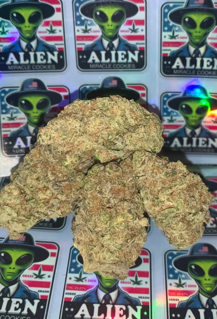 Miracle Alien Cookies